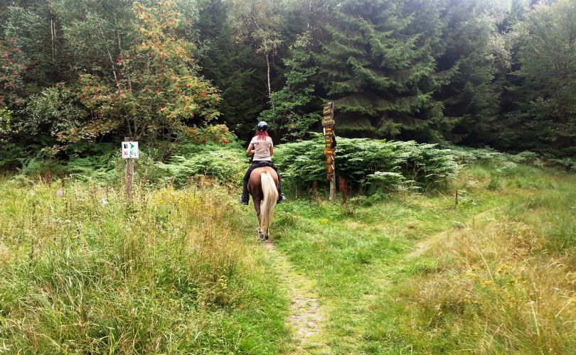 Wanderritt4