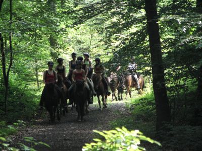 Wanderritt2